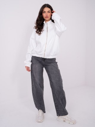 Bluza WT-BL-A1460.19P