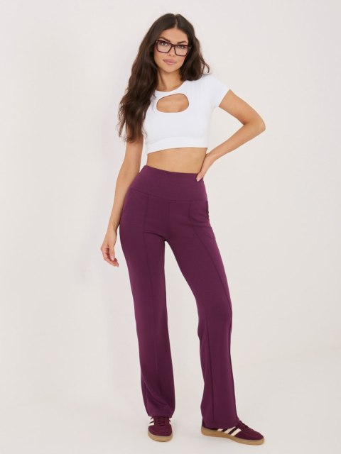 Spodnie dresowe RV-DR-A1289.01