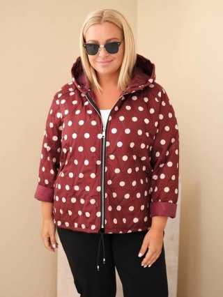 Kurtka damska Plus Size w grochy z kapturem bordowa